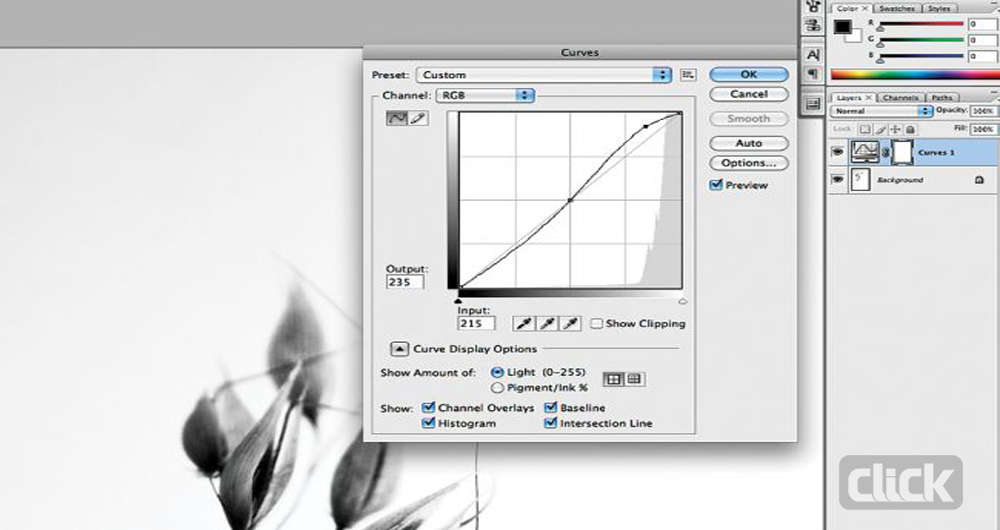چگونه عکس سیاه و سفید خوبی بگیریم؟