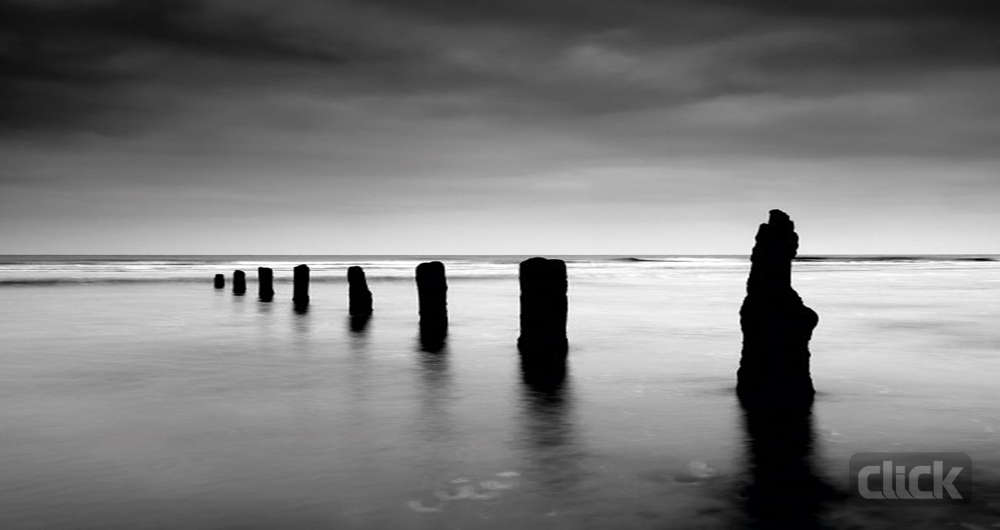 چگونه عکس سیاه و سفید خوبی بگیریم؟