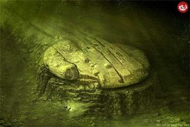 «کشف جاده آجری زرد در اعماق اقیانوس آرام!»