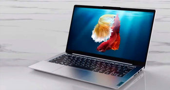 لپ تاپ Xiaoxin Air 14 لنوو با کارت گرافیک GeForce MX350 عرضه می شود