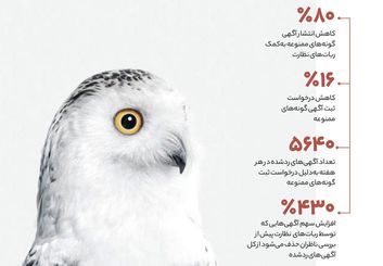 دیوار آگهی‌های ممنوعه حیات وحش را چطور حذف می‌کند؟