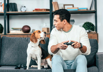 قوانین نگهداری سگ در آپارتمان و برج