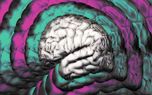 ضریب هوشی(IQ) چیست و چطور تعیین می شود؟