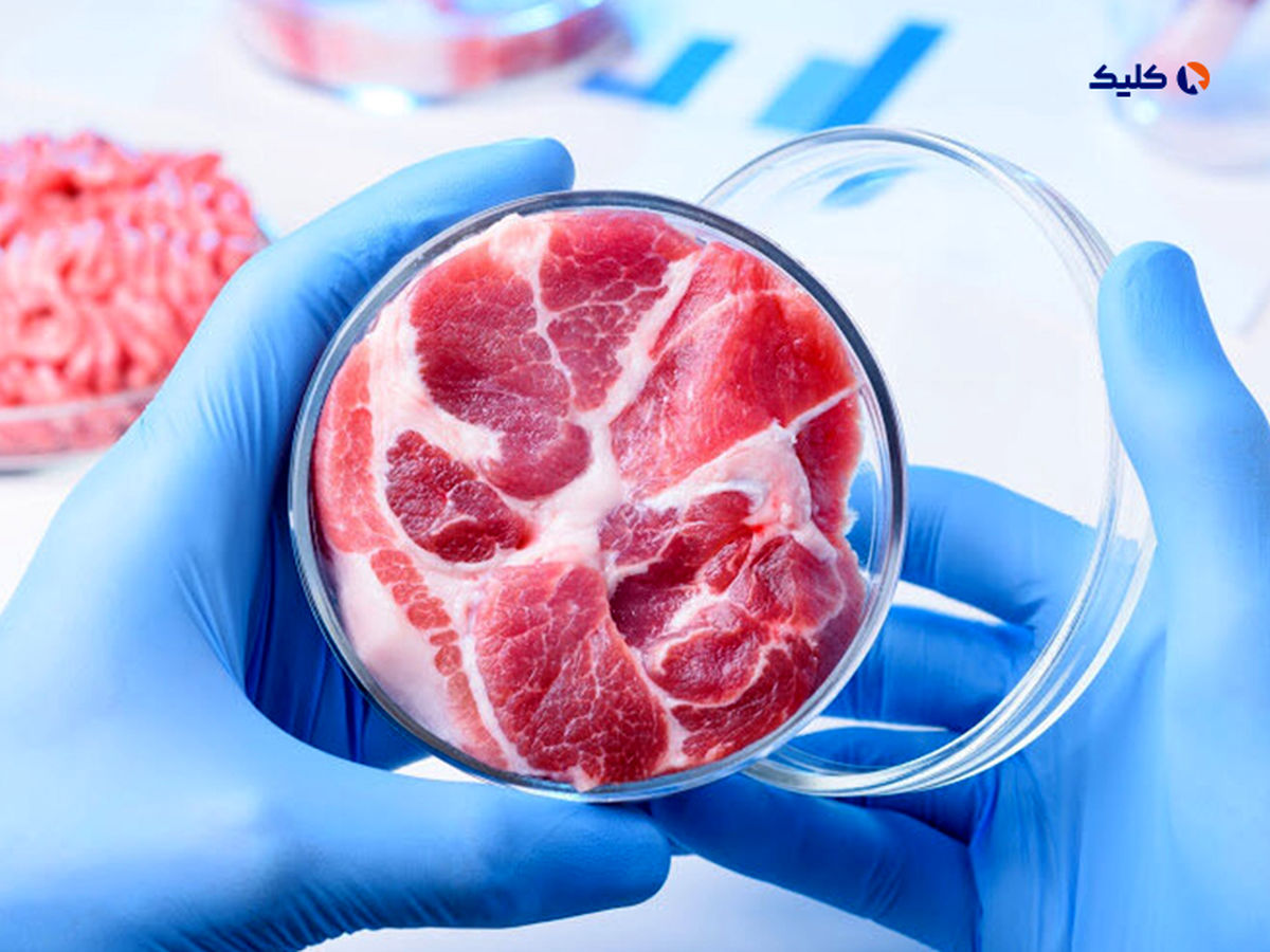 تولید گوشت مصنوعی با عطر چربیهای آزمایشگاهی