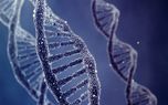 لیزردرمانی موجب آسیب به DNA انسان می شود