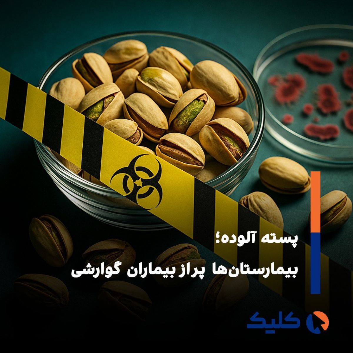 تا اطلاع ثانوی از خوردن پسته خودداری کنید