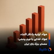 از دلار ترجیحی تا گرانی افسارگسیخته؛ آشفتگی در بازار مواد غذایی عمیق‌تر شد»